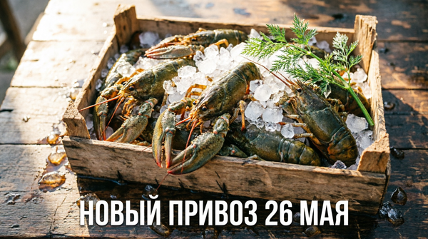 Свежий завоз